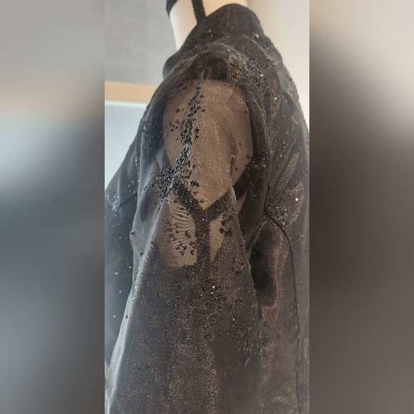 R&M Richards Elegant Black Blouse with Sheer Sleeves - Picture 6 of 12